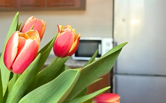 Центр, Большая Двухкомнатная Квартира