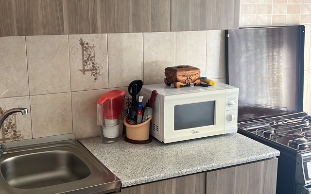 Na Vorovskogo 49 u muzeya Flat