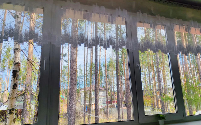 Частный дом VIP с собственным лесом