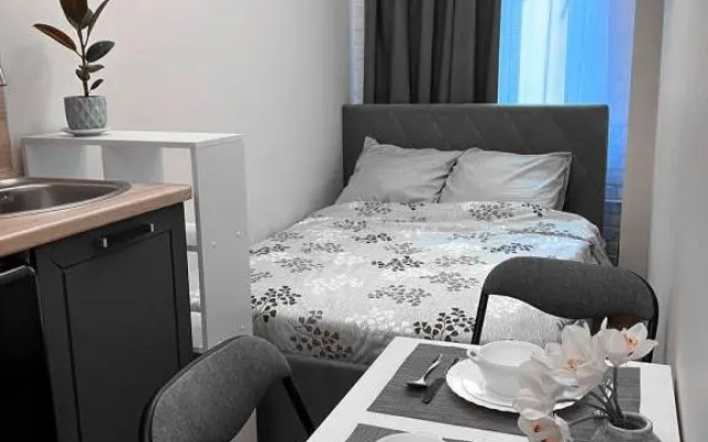 Апартаменты 3 на Чкаловском проспекте