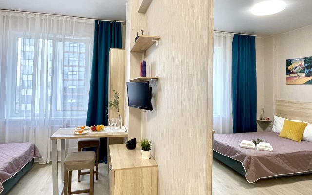 Квартира 2 Ночи на Пулковском шоссе 14с6 (3)