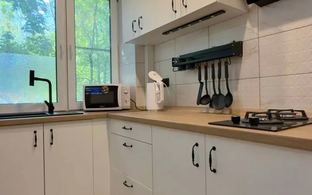 Arendagrad Kirova 61 Flat