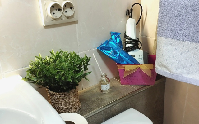 Dvukhurovnevaya V Tsentre Flat