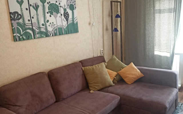 Апартаменты на Семья Шамшиных 69А