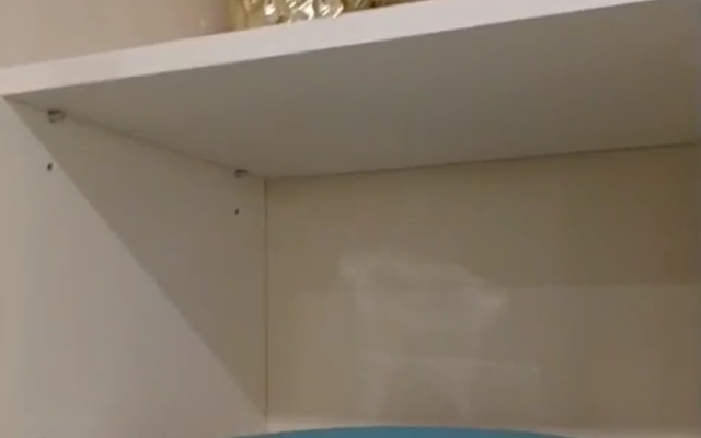 Апартаменты Уютная студия на Рижском