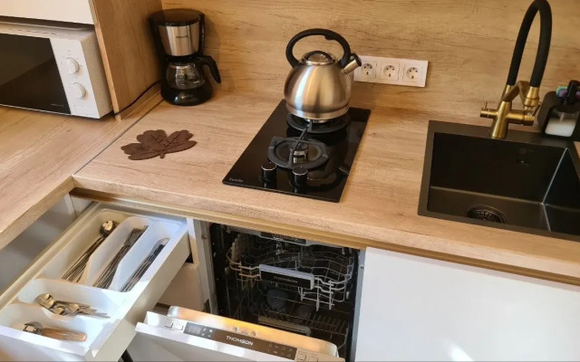 Апартаменты Каштаны Амалиенау