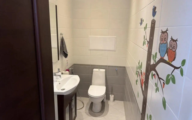 Частный дом на Фонвизина