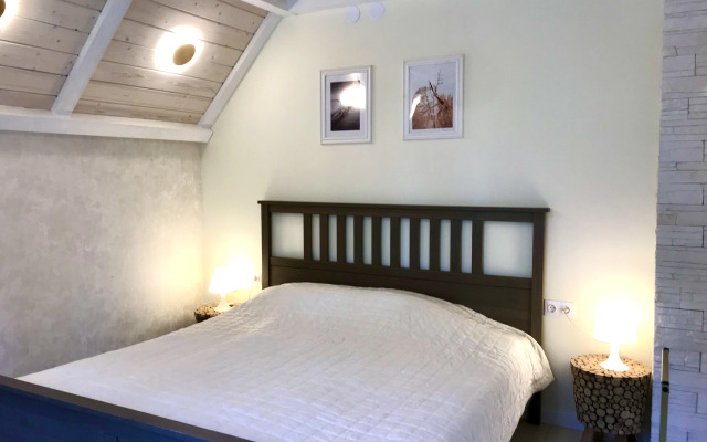 V Starinnom Finskom Dome Apartments
