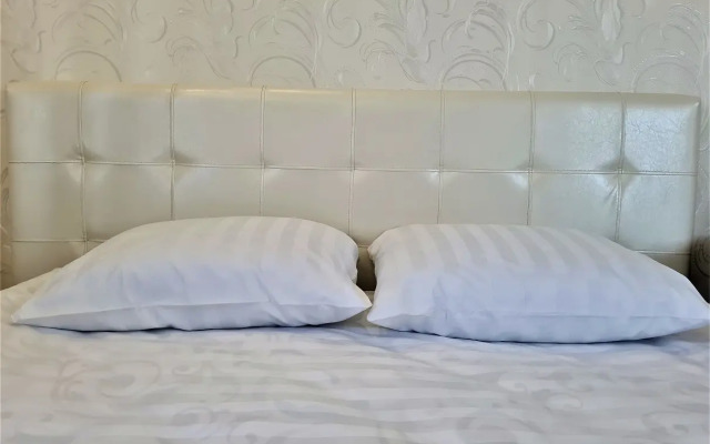 Chetyrekhkomnatnye v Tsentre Apartments