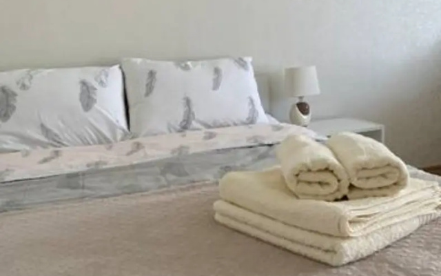 Na Tolbuhina Apartments - Apartment in קאזאן - Photo 4