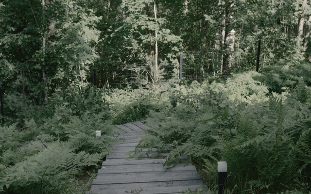 Lesnoy Voskhod Chalet