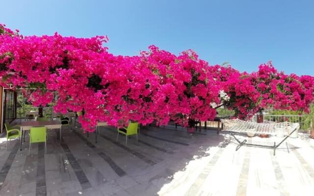 Akdeniz Pansiyon Bed&Breakfast