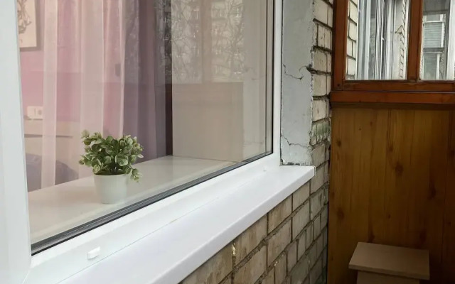 Uyutnaya Dvuhkomnatnaya Kvartira V Tsente Ryibinska Apartments
