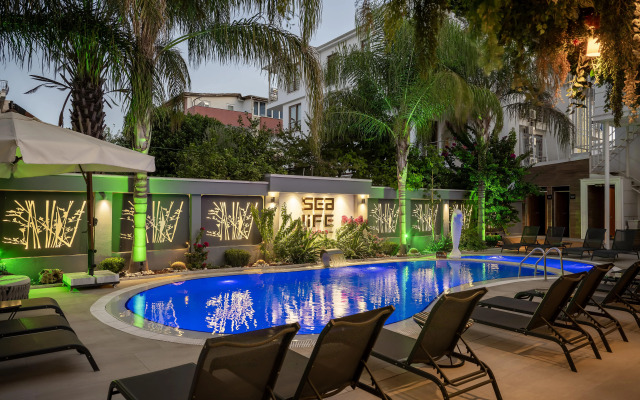 Sealife Lounge Hotel - Adult Only