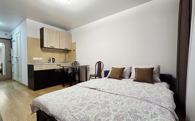 Квартира комфортная от сети RoomOnDay