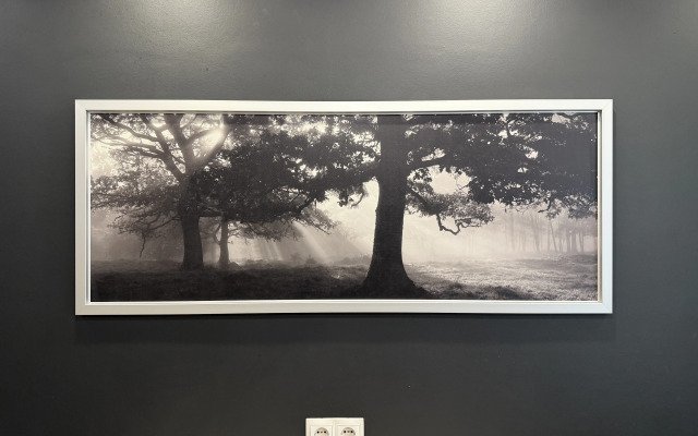 Квартира Тут Хорошо на Самоцветном 5