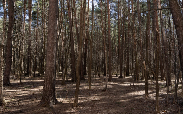 Апартаменты Тайна Голубого Океана в Нахабино - Mari'Nochka