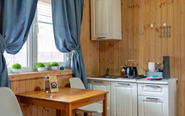 Частный дом Ладожские дюны