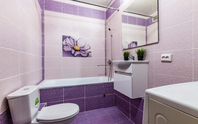 Апартаменты Миасская DreamHouse 1