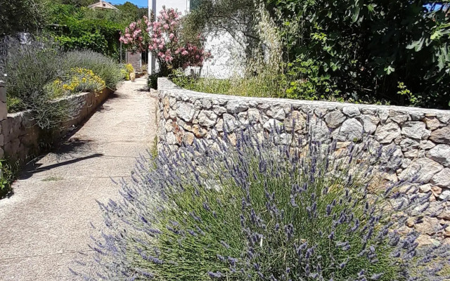 Вилла Rustic Miketa