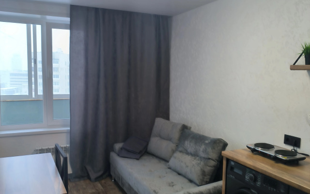 Odnokomnatnaya v Tsentre Flat