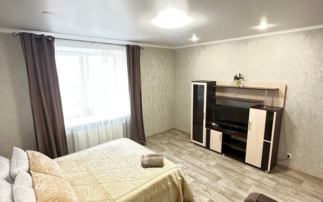 Svetlaya kvartira s parkovkoy na Gubkina Flat