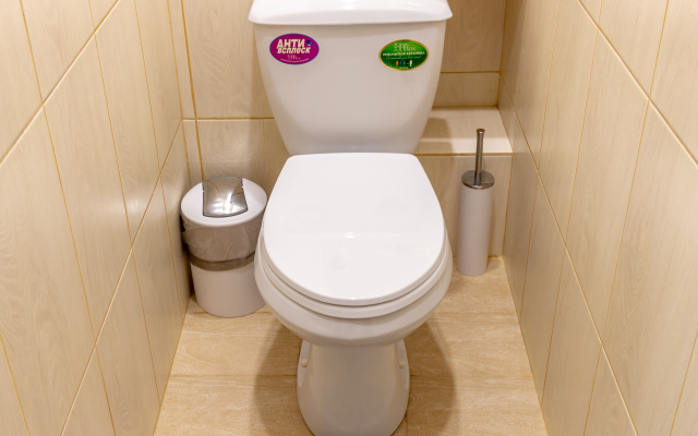 Квартира 2х комнатная Business Apart Lux на Маяковского