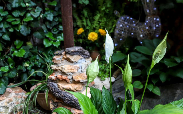 Гостевой дом Усадьба Дом Дракона