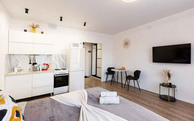 Uyutnaya Studiya Flat