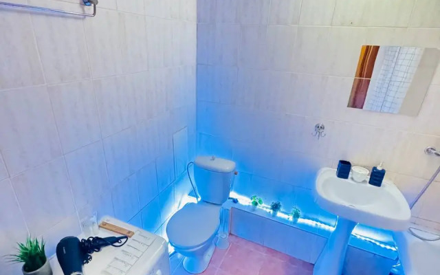 Апартаменты двухкомнатные на Союзной 4