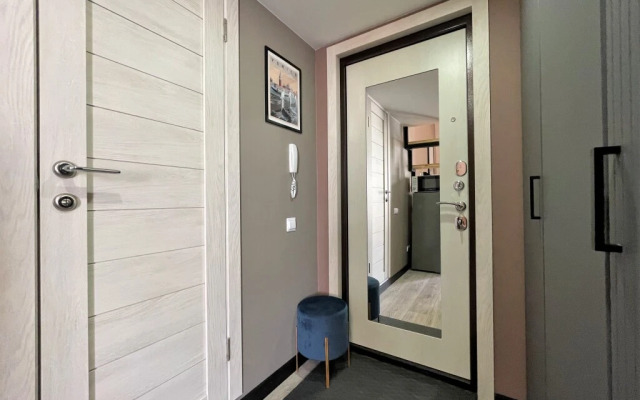 Апартаменты 1 СуткиСпб Самый Центр Владимирский 10