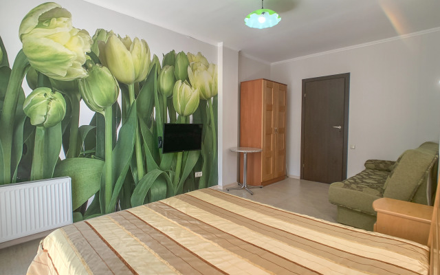 Shalyapin House Guest House