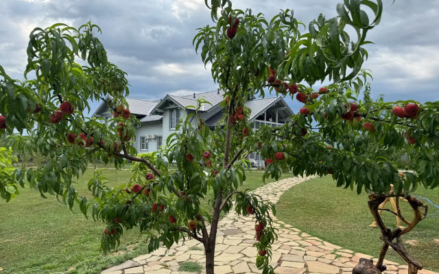 Гостевой дом Играем на высоте