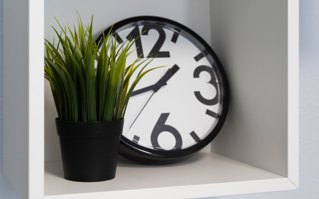 Апартаменты на Склизкова