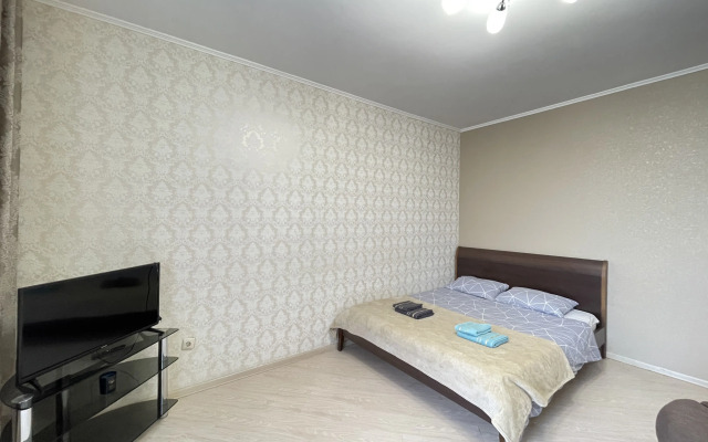 Na Vishnevskogo 29/48 Flat