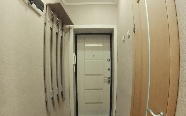 Right Room Odnokomnatnye v tsentre goroda na Karla Libknekhta 10 Apartments