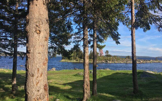 Cedar Grass Белое Море