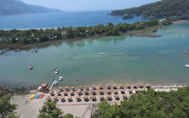 Green Pine Beach Bungolows Luxury Concept Apartments