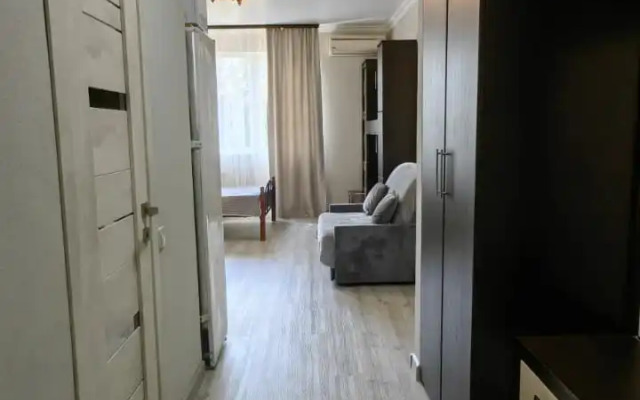 Odnokomnatnaya Flat