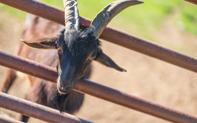 Отель Комплекc Загородного отдыха  Место 7