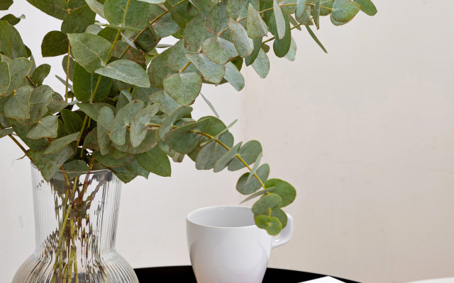 Квартира Гармония