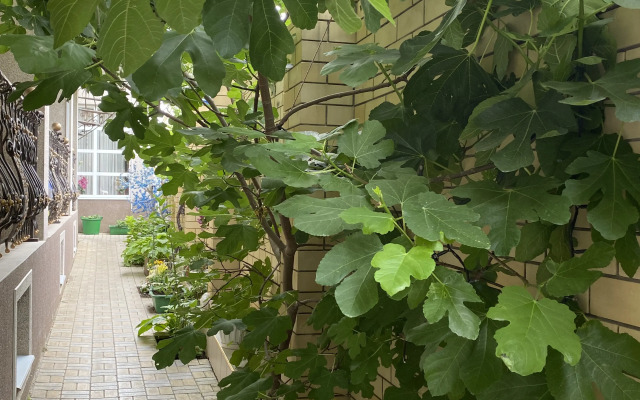 SPS Guest House