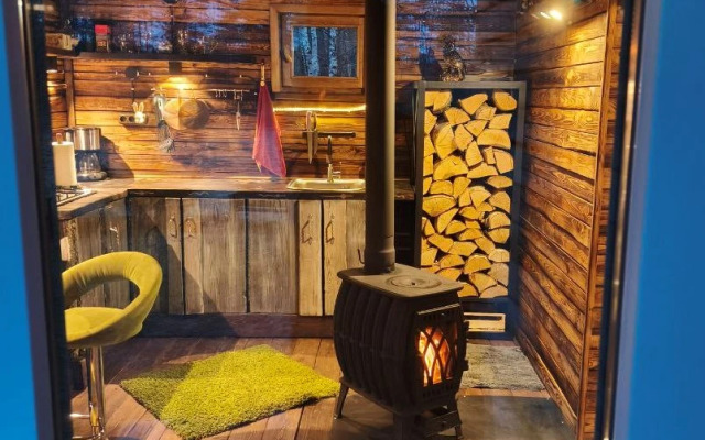 Частный дом в лесу у реки