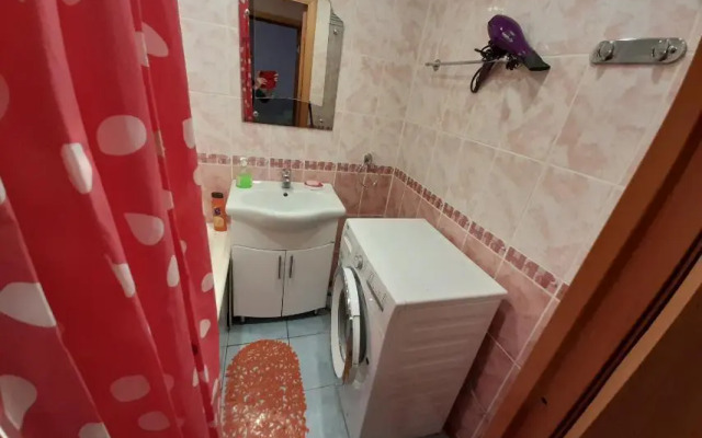 Апартаменты с 1 комнатой рядом с центром города (КВАРТИРА51)