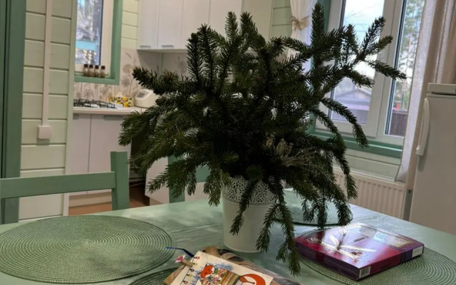 Частный дом на Береговой