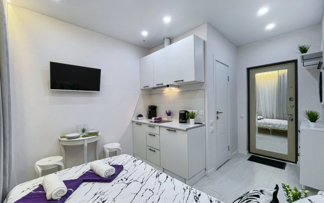 Апартаменты Студия м.Маяковская