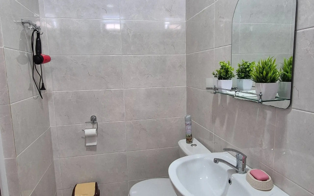 Guest house Rodnichok