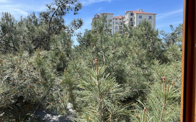 Апартаменты 317 Курзальная 13