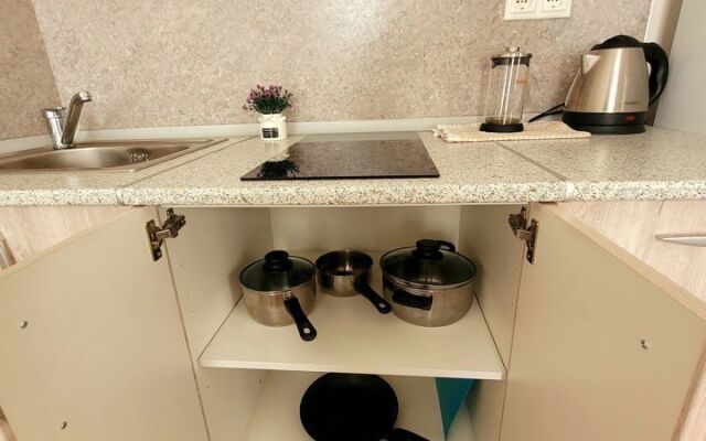 Квартира - студия в иcтoричeскoм цeнтре Санкт-Пeтеpбургa (4)