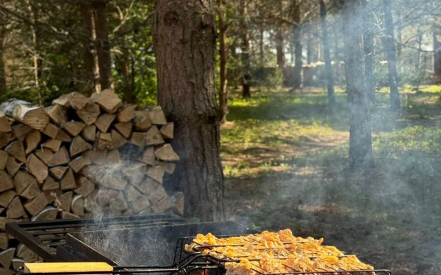 Шале неДача 1